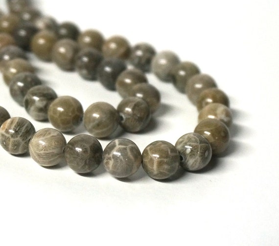 10mm Fossil Coral Beads round natural gemstone brown