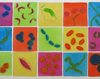 Microbial Rainbow 5 - original watercolor of bacteria