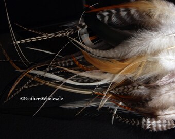 Feathers for Jewelry & Dreamcatchers Natural Real Rooster Feather Mixed Lot Top Quality Feathers from Florida 50 Pack