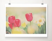 tulip photograph, tulip, flower photograph, spring, bloom, flower, red, green, woodland, nature photography, color photography, yellow