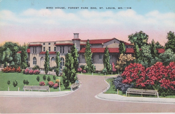 bird house forest park zoo st louis by postcardsofthepast bird house forest park zoo st louis by postcardsofthepast