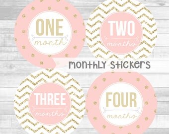 Monthly Baby Girl Stickers Gold Glitter Pink Blush Milestone Stickers Baby Month Stickers Monthly Bodysuit Sticker (Pink and Glitter)