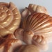 Reserved for Ione - Seashell Soap Set