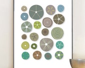 Home Décor, Abstract seashell, marine life and sea urchins, natural colours, giclee print