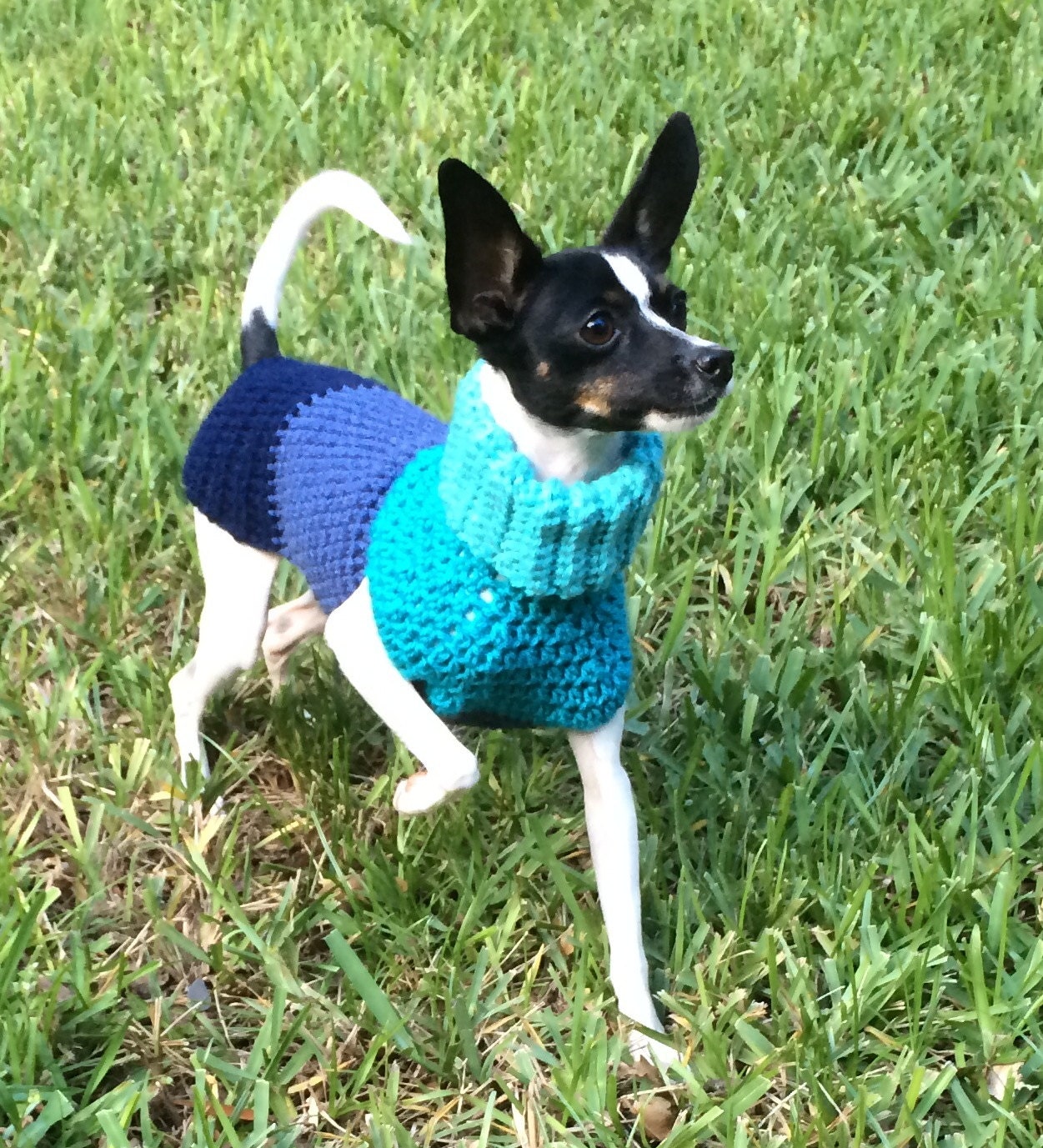 Dog Sweater Custom Made XSmall/ Small Dog Sweater. Four