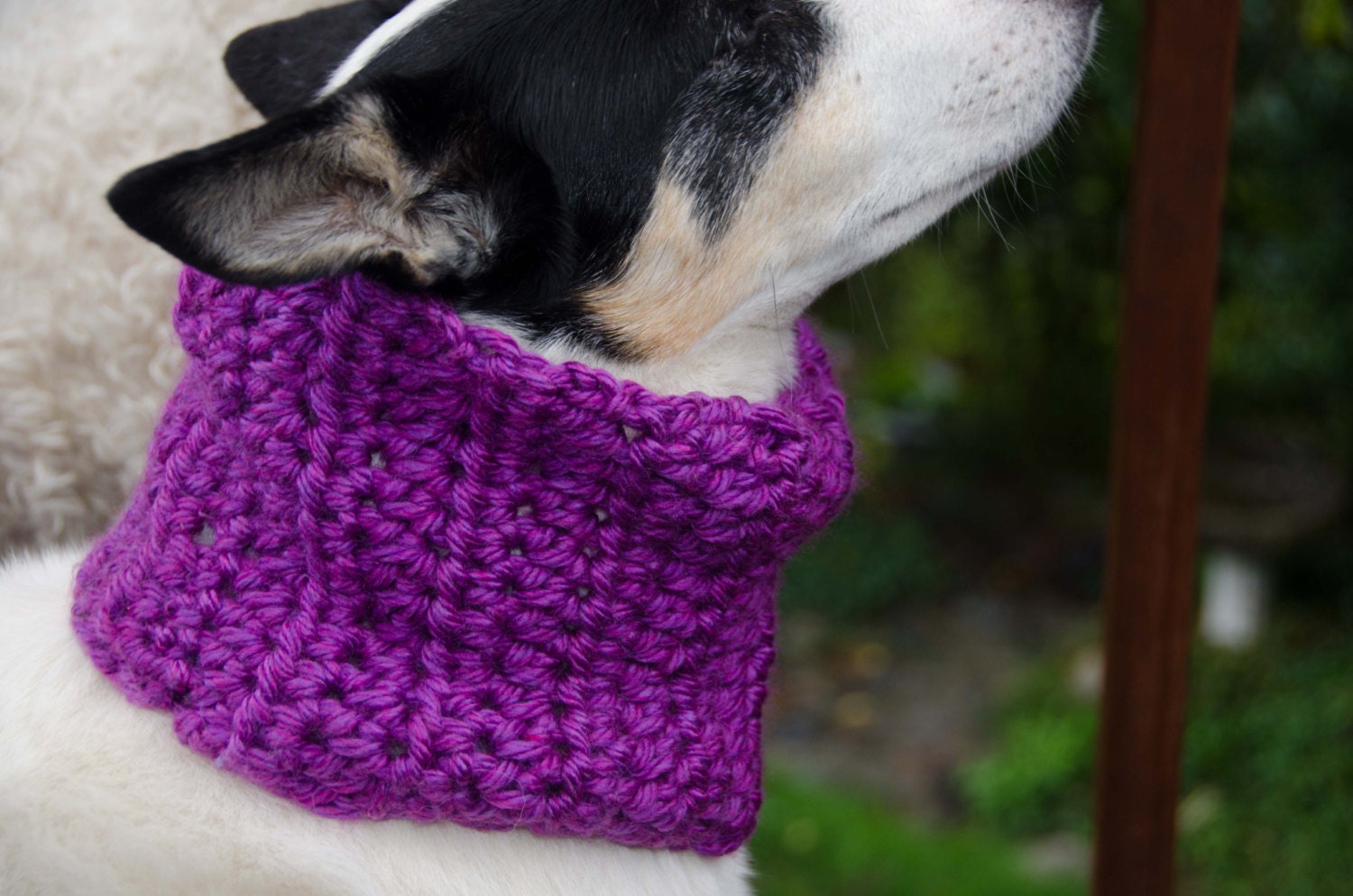 Dog Scarf/Cowl Crochet in Chunky Purple Yarn Size Medium