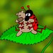 dottsladybug