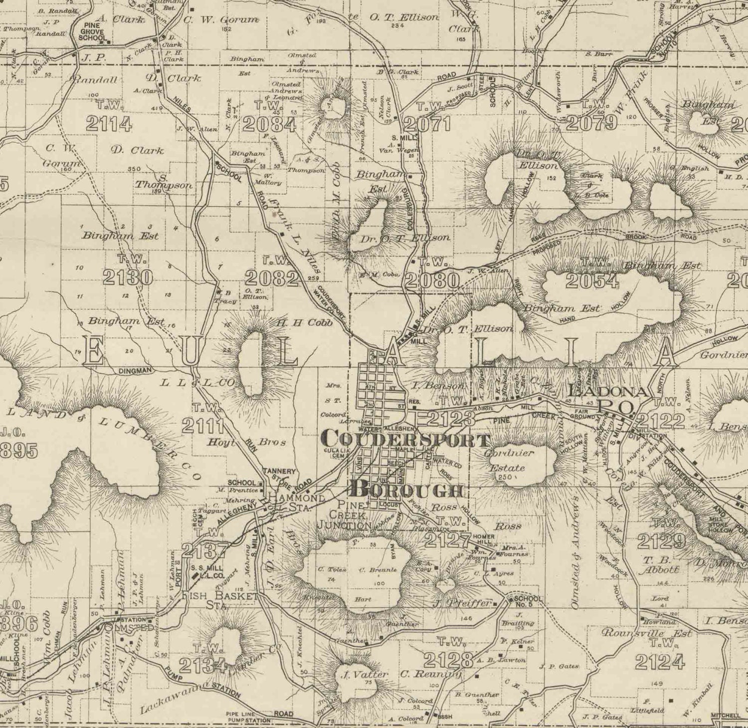 Potter County Pennsylvania 1893 Wall Map with by Oldmap