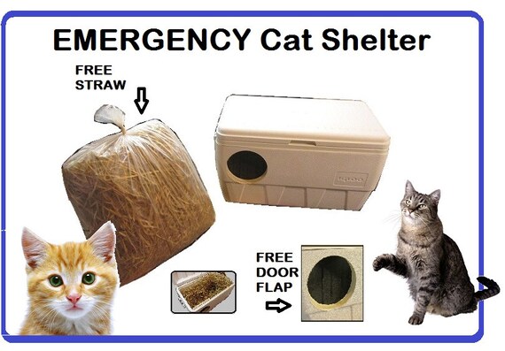 ARK Workshop Insulated Outdoor Cat House Emergency by 