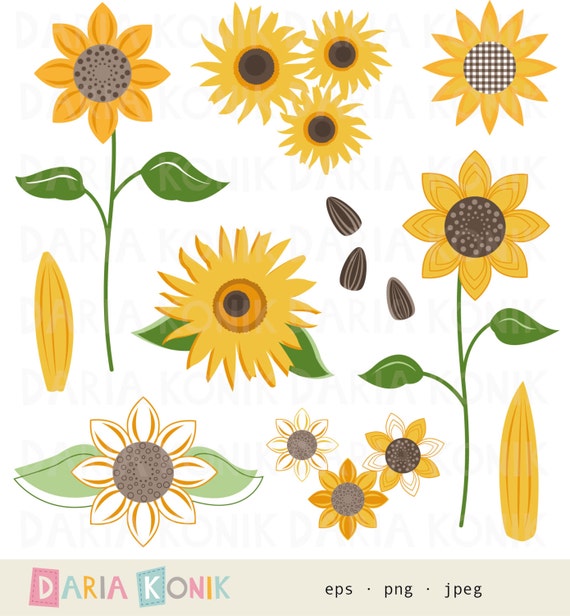 Sunflowers Clip Art Set-sunflowers blossoms petals