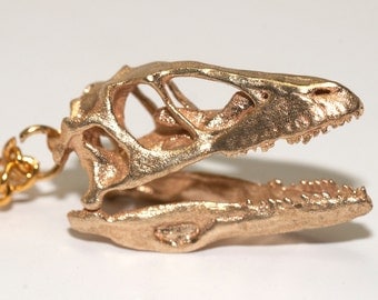 Dinosaur Necklace - Dinosaur Pendant - Dinosaur Jewelry - Deinonychus Dinosaur Skull Pendant Bronze Paleontology Gifts