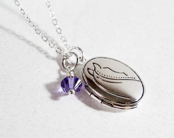 Silver Locket, Horse Locket, Birthstone Locket Necklace, Birthstone Necklace, Pony Jewelry, Horse Pendant
