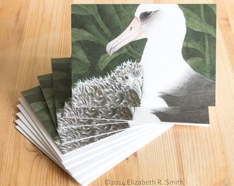 Albatross Pair Painting Blank Notecard Set of Five