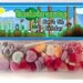 Terraria Birthday invitation card Digital by Lilypadinvites
