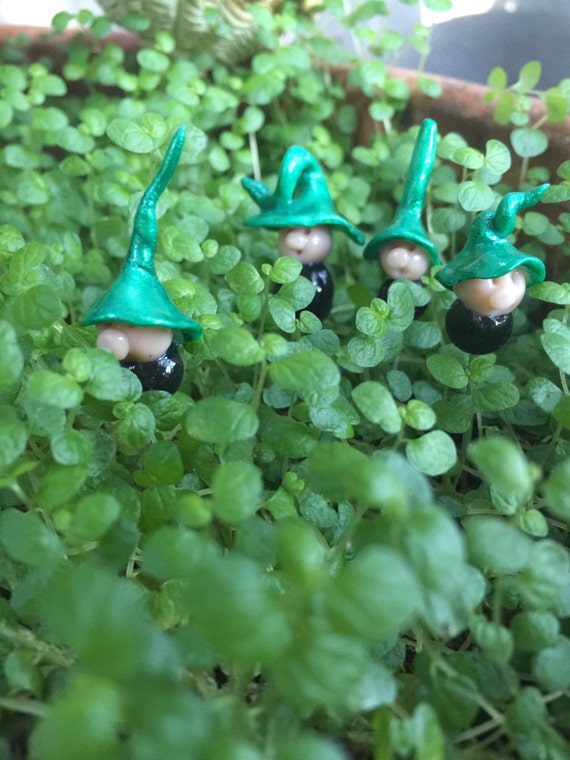 tiny gnomes for terrariums