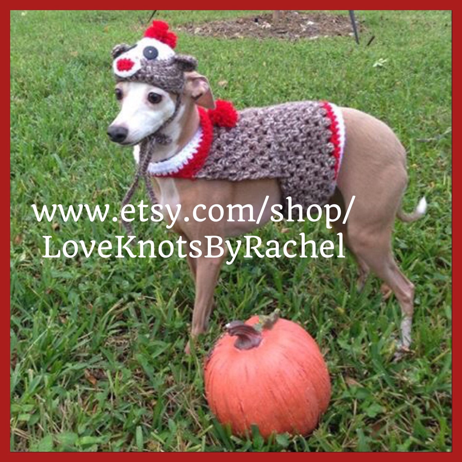 Sock Monkey Dog Costume by LoveKnotsByRachel on Etsy