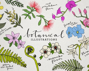 Botanical Clip Art - floral illustrations, tropical flowers clipart, New Zealand plants, orchids, ferns, lilies, flora and fauna, leaves
