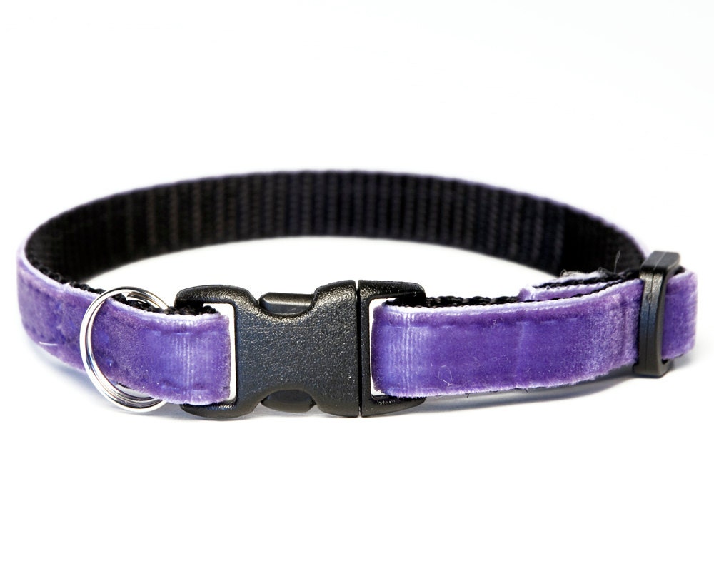 Cat Collar Amaranthine Purple Velvet by CatmintCollars on Etsy