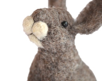 Rabbit Felting Kit - Needle Felting Kit - DIY Kit - Craft Kit - Felting Supplies - DIY Craft Kit - Starter Kit - Needle Felted – Beginner