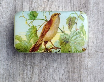 Bird Pill Box, Slider Tin, Mint Tin, Vintage bird