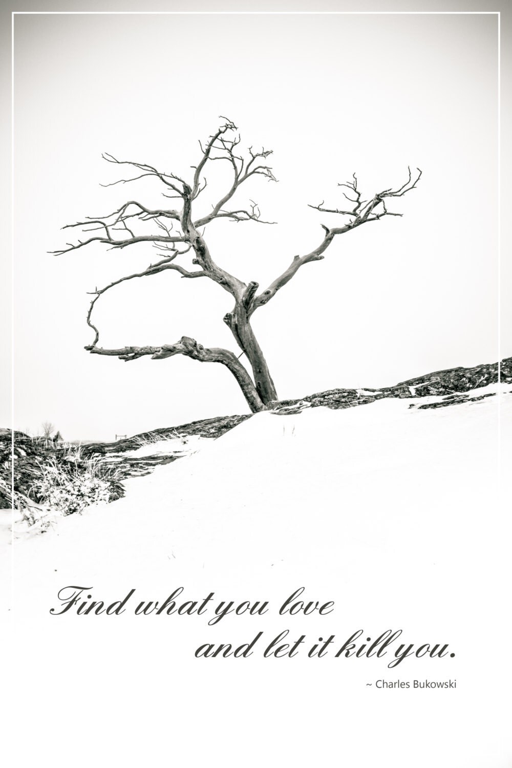 find something you love and let it kill you Lara fabian - choose what you love most (let it kill you) (tradução) (letra e música para ouvir) - was in a place where i wished / for the love of my life / i've i won't regret a thing i did just the things i didn't try choose what you love most and let it kill you if you have to choose what you love most and let it kill you. find something you love and let it kill you Lara fabian - choose what you love most (let it kill you) (tradução) (letra e música para ouvir) - was in a place where i wished / for the love of my life / i've i won't regret a thing i did just the things i didn't try choose what you love most and let it kill you if you have to choose what you love most and let it kill you.