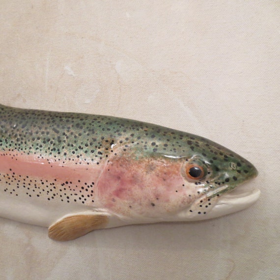 Rainbow Trout Pink and Green RT82