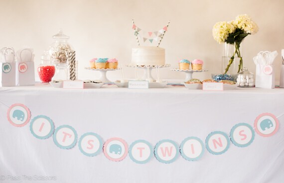 IT'S TWINS Baby Shower Banner, Twins Baby Shower Decoration, Boy and Girl Baby Shower Il_570xn