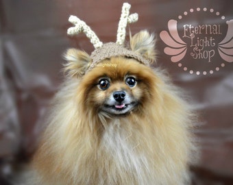 Pet Reindeer Hat (XS-XL)