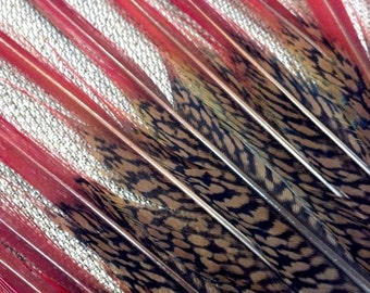 Phoenix Feather