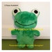 frog stuffie