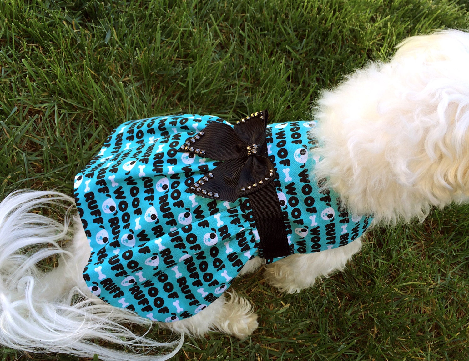 Woof Aqua Blue Dog Dress with Grosgrain Ribbon Bow Black and
