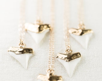 Mano niho kahi necklace - gold shark tooth necklace, white shark tooth, Hawaii jewelry, boho jewelry, gold pendant necklace, boho necklace