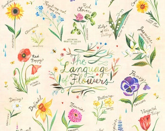 The Language of Flowers Art Print | Watercolor Hand Lettering | Botanical Poster | Gardening Chart | Katie Daisy | 8x10 | 11x14