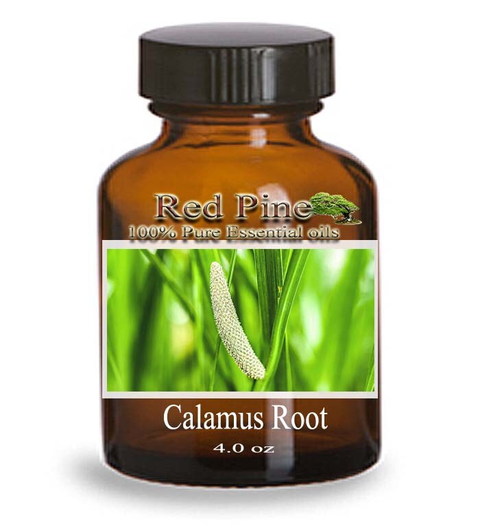 Calamus Root Essential Oil Acorus calamus 100% Pure