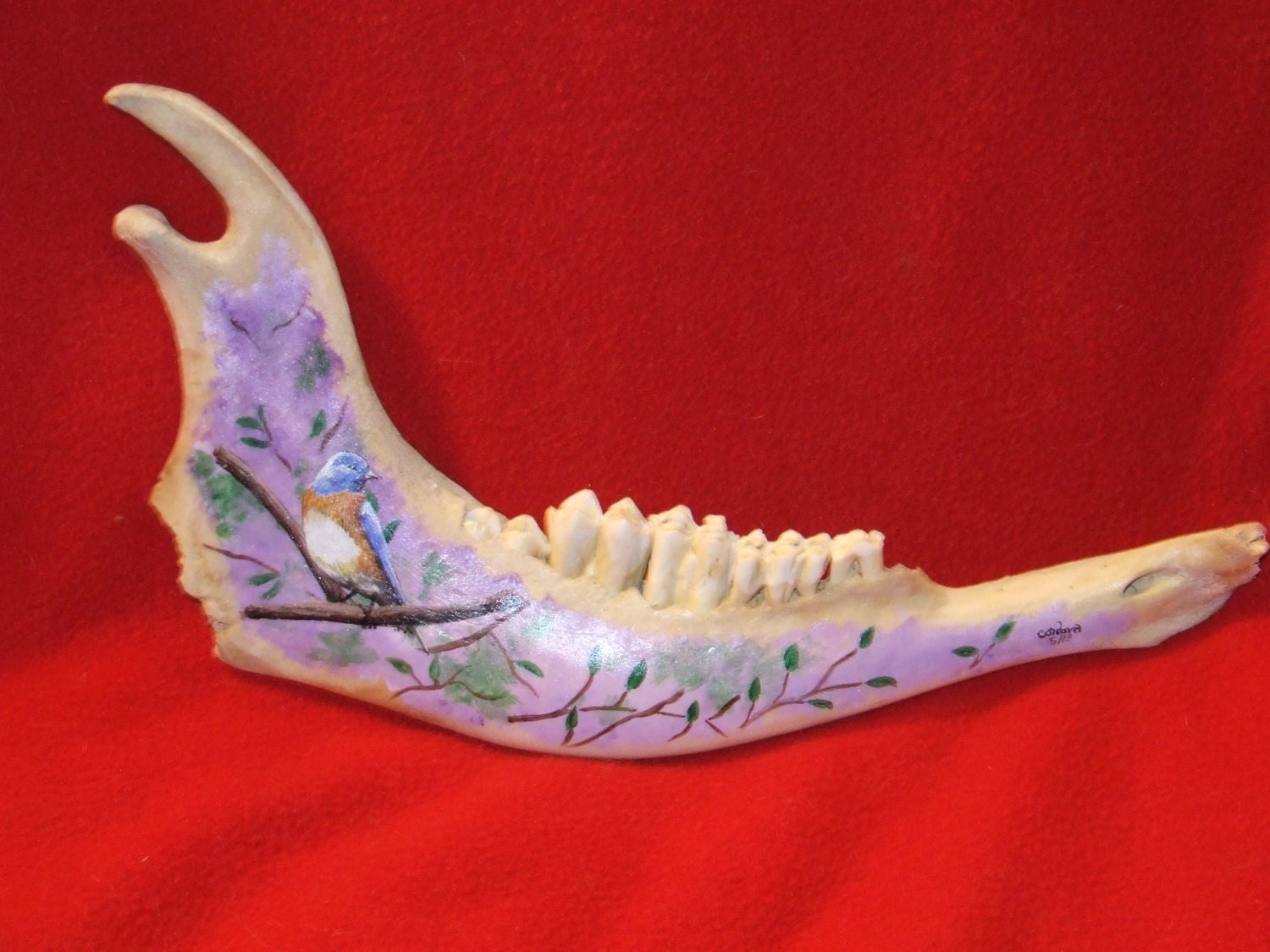 painted buffalo jaw bone by artbyCordova on Etsy