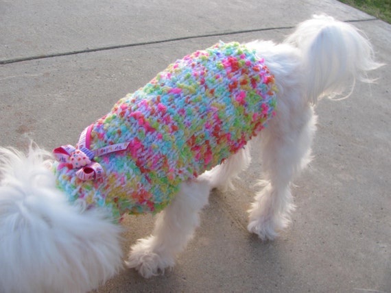 Happy Birthday Small Dog Multi-toned Festive Sweater Birthday