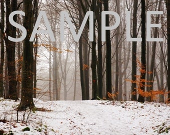 Set of 12 Sweden snow photograph stationery note card (with envelope)