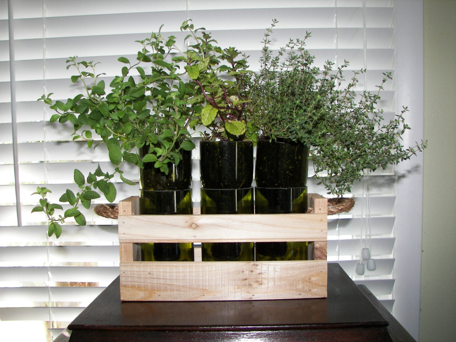 Hand cut recycled wine bottle herb planter garden with cedar