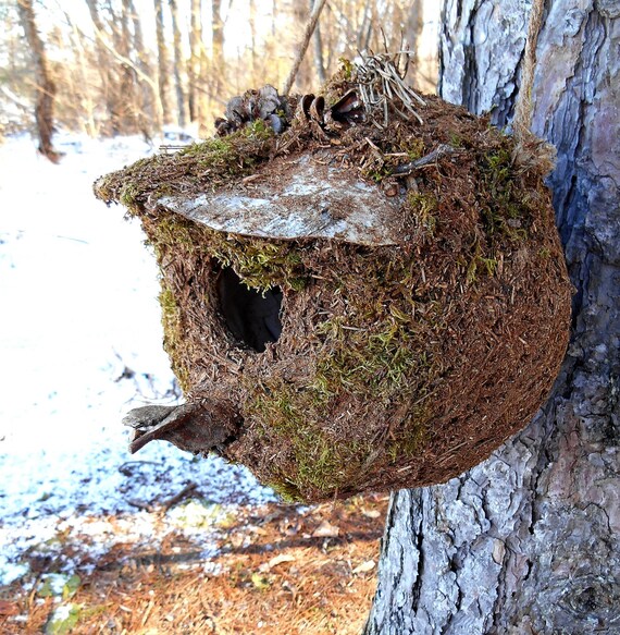 Squirrel house bearpawrustics large woodpecker birdhouse