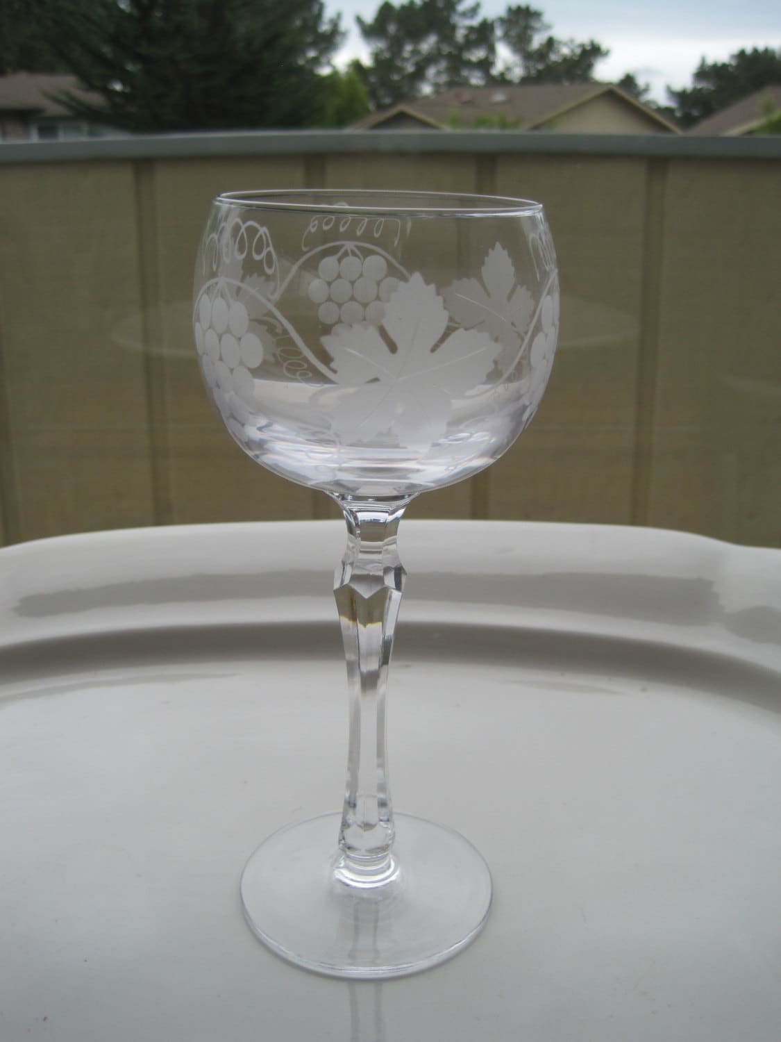 Vintage Etched Glass Crystal Stemware Goblet Wine Glass Water