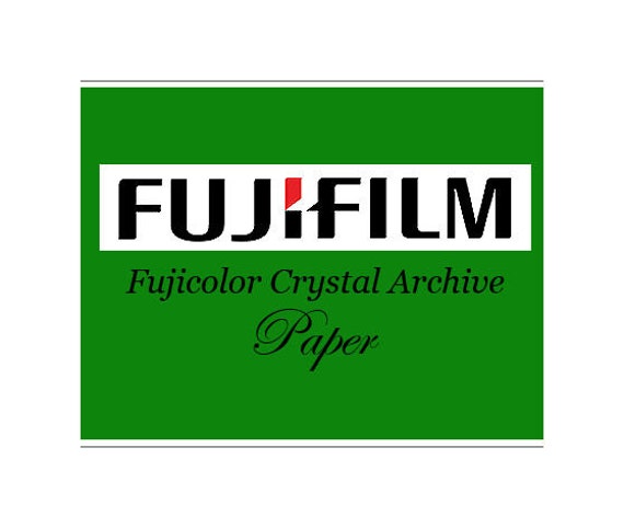 White Black Zebra Print Dance Live Love Sing Quote Art Girls