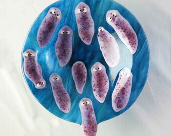 Planaria Custom Bowl Made to order