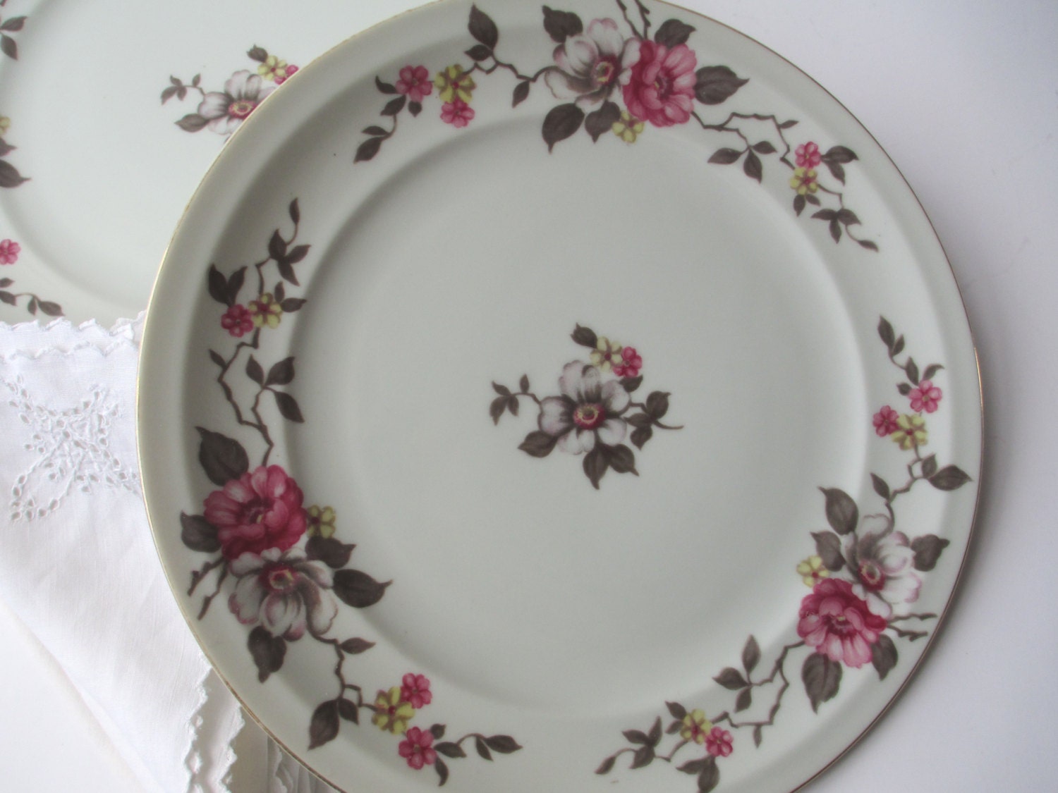 Vintage Floral Dinner Plates 6