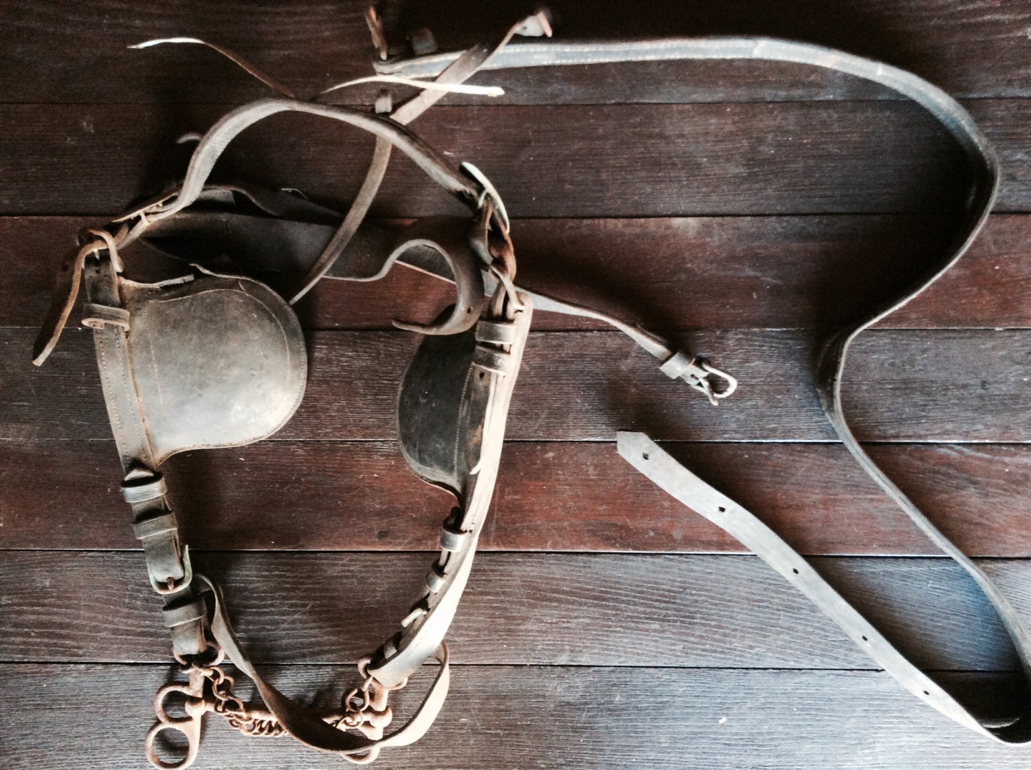 Vintage French horse blinkers blinders tack circa 1950s