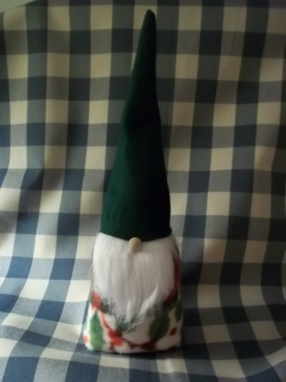 A Simple Cute Gnome - Green Hat