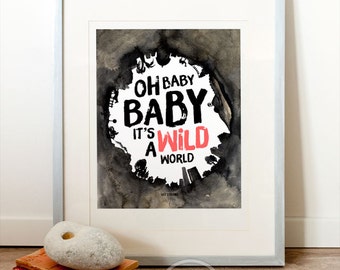 wild world cat stevens lyric