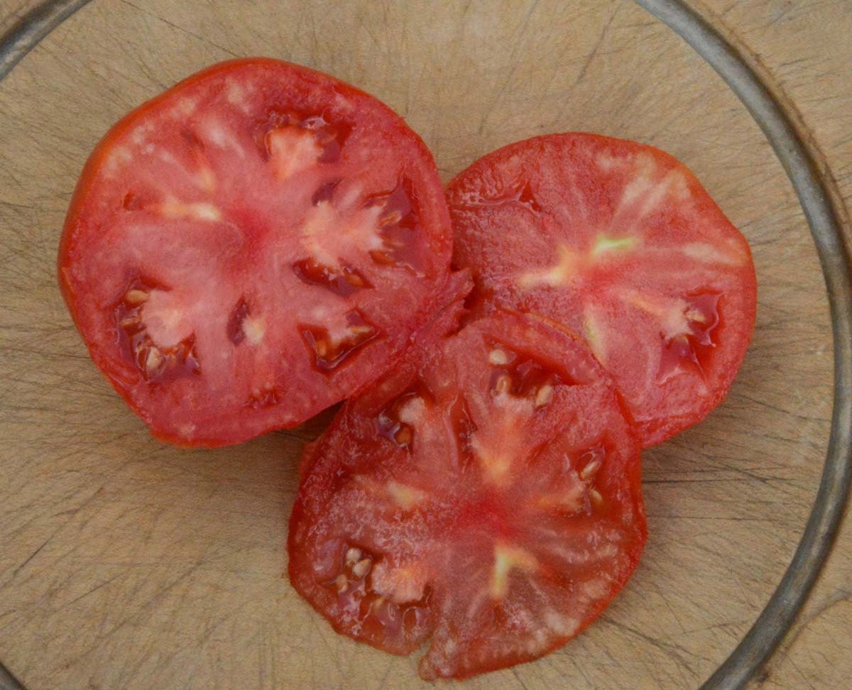 Red Beefsteak Tomato Heirloom Tomato Seeds Open Pollinated