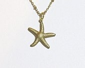 Starfish Necklace.  23 inch 14kt gold chain with 2 inch extender.  Starfish is bright brass