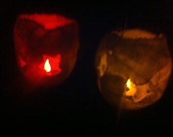 Wet felted and hand embroidered waldorf inspired lantern