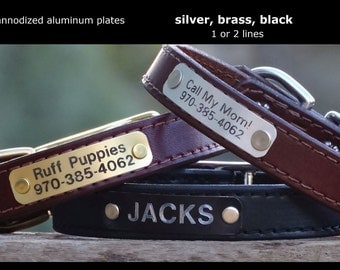personalized name plate to be added to any of our leather dog collars / silver, gold, black / anodized aluminum